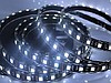 Cinta De LED WD-Strip-S5-60-IP68