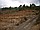 FINCA RUSTICA ZONA CANDELARIA, fotografía 3